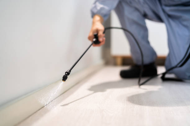 Professional exterminator conducting IPM assessment in Tatum